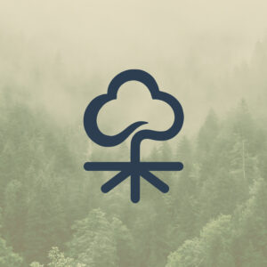 Icono de logotipo de Ent